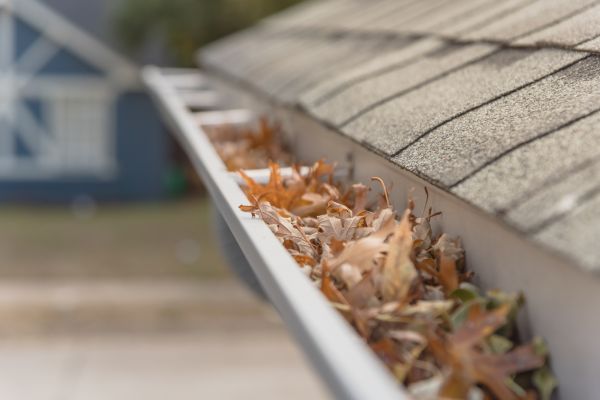 Leaf Barrier Installation in Brunswick